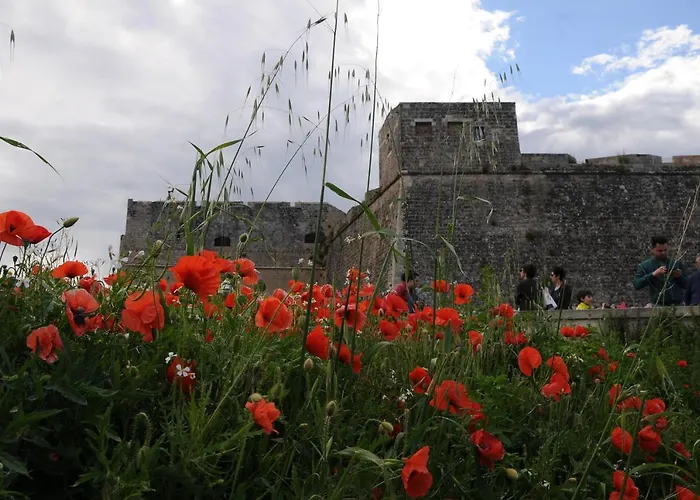 Porta Mare דירה *